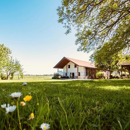 Pensjonat Sonnenblumenhof Mühlheim Zewnętrze zdjęcie