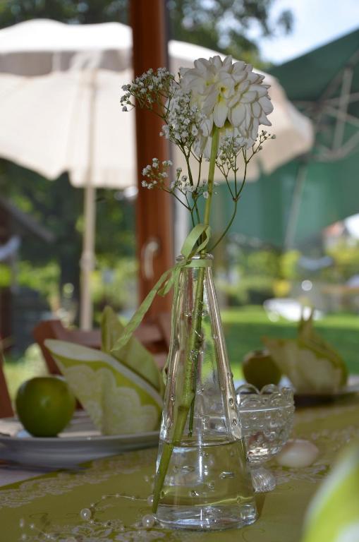 Pensjonat Sonnenblumenhof Mühlheim Zewnętrze zdjęcie